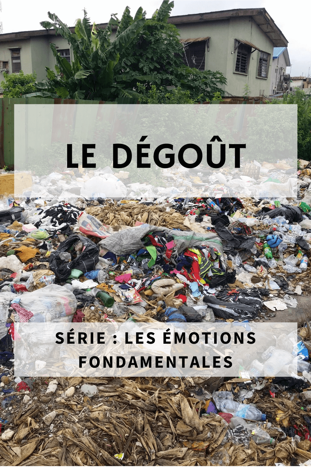 Comment le dégoût nous protège-t-il ? Est-il universel ?