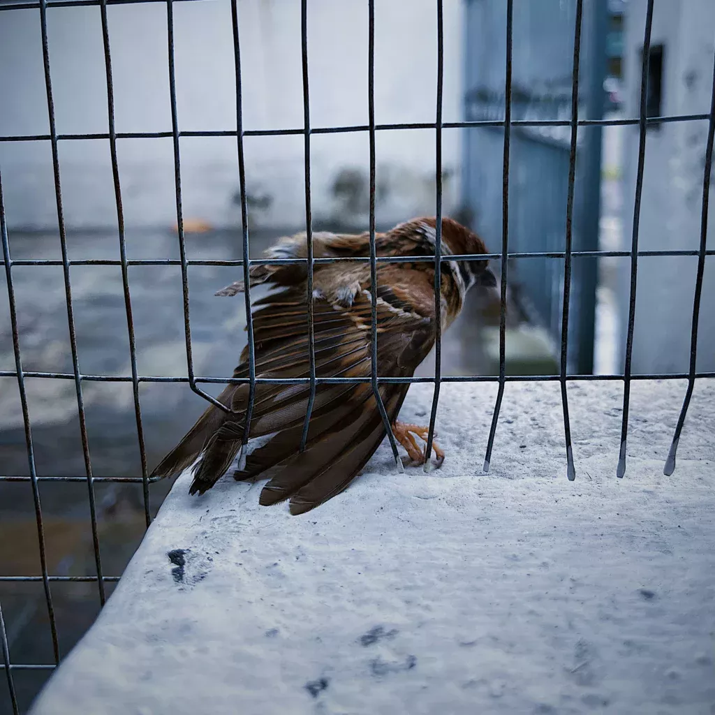 comment se liberer de notre critique interieur